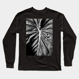 Leaf Close Up Long Sleeve T-Shirt